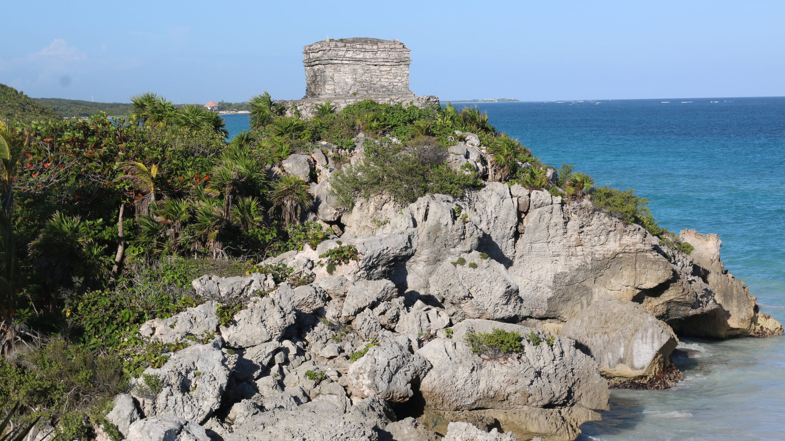 Cenotes and Ancient Mayan Ruins in Mexico